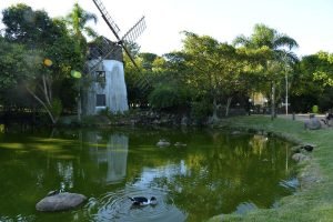 Renato Soares - MTUR